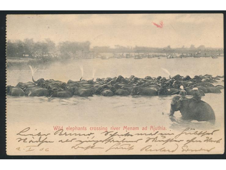 Mischfrankatur 4 Atts (Ausgabe 1899) und 1 Att (Ausgabe 1905) auf Ansichtskarte "Wild elephants crossing river Menam ad Ajuth