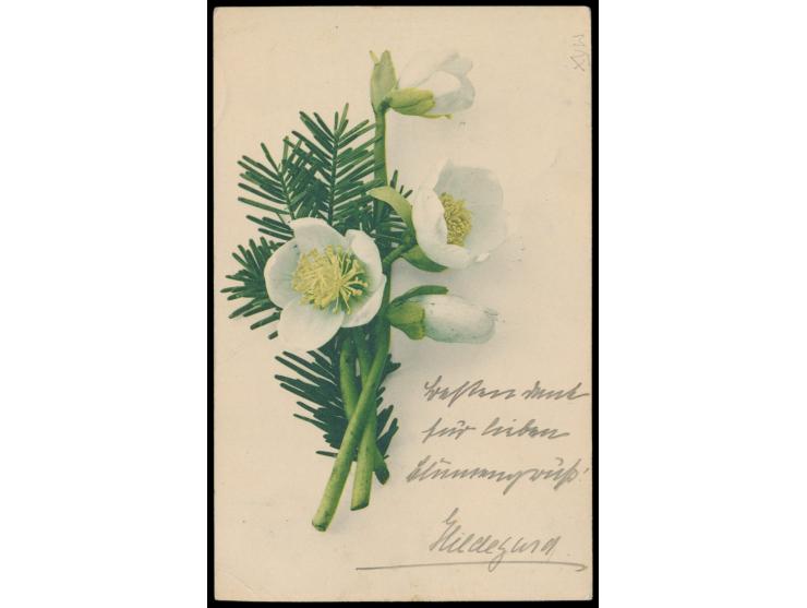 Ansichtskarte mit Portofreiheitsvermerk "Hofkarte frei" und kleiner Prägedruck-Siegelmarke, Stempel  Muehlthal  28.11.04, nac