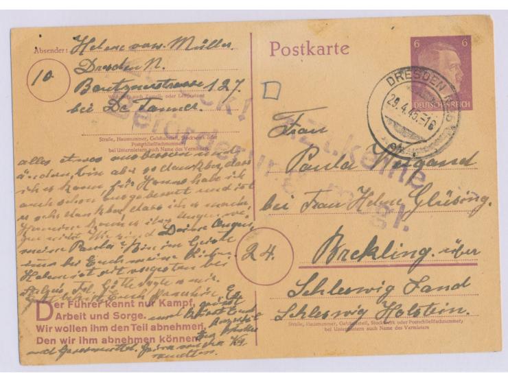 Ganzsache 6 Pf. Hitler mit Stempel  Dresden N 25  29.4.45  nach (24) Brekling  über Schleswig, großer violetter L2  "Zurück! 