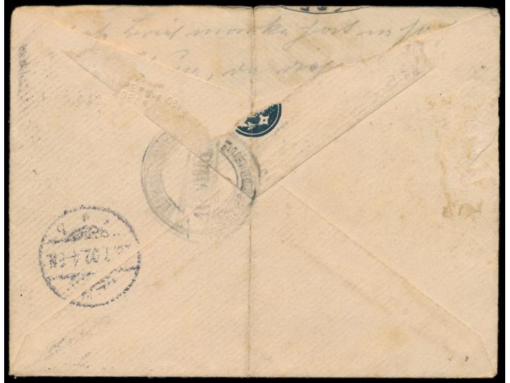 Brief mit Privatpost-Marke  "Arctische Post - Cap. W. Bade" 10 Öre  (Skiläufer mit Hund) und Stempel  Spitzbergen Smerenburg 