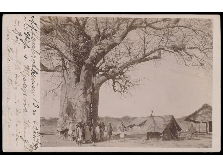 Stempel  Kilimatinde  7.9.10 auf Foto-Ansichtskarte mit Beschreibung des Absenders: "Affenbrotbaum in der Nähe von Mpapua, me