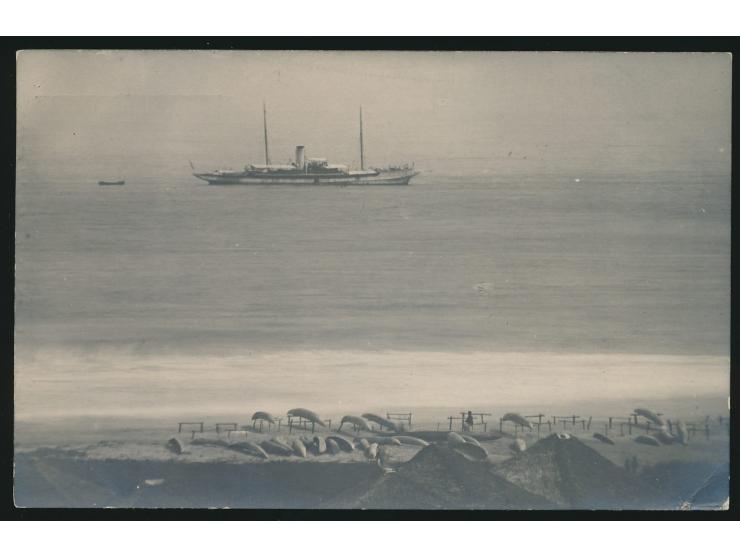 Foto-Ansichtskarte (Privataufnahme), geschrieben in  Monrovia  (Liberia) am 11.3.(1911), nach Tetschen in Böhmen, Frankatur D