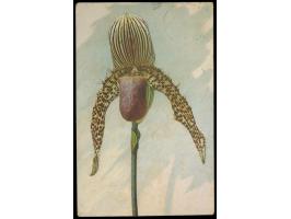 Sonderstempel  Berlin SW Orchideen-Ausstellung  16.11.13 6-7N. (letzter Einsatztag) auf Ansichtskarte "Cypripedium Mahlerae" 