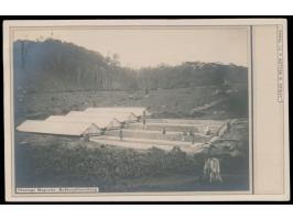 1903: 23 verschiedene Ansichtskarten aus dem Verlag &quot;W. Müller &amp; Co., Tanga&quot; mit Aufnahmen verschiedener Bevölk