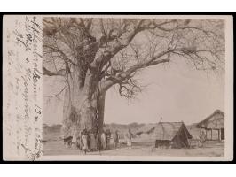 Stempel  Kilimatinde  7.9.10 auf Foto-Ansichtskarte mit Beschreibung des Absenders: "Affenbrotbaum in der Nähe von Mpapua, me