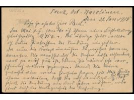 Kriegspost, &nbsp;Ganzsache 5 Pf., geschrieben &nbsp;&quot;Truk, Ost-Karolinen, den 31. Jan. 1915&quot; , adressiert nach Bre