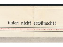 3 H. auf Vordruckbrief des Verschönerungs- u. Fremdenverkehrs-Verein, Stempel Mitterndorf 24.6.18 nach Hausmanning, Einlage 4