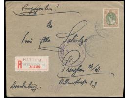 Niederlande  22 1/2 C. auf  Einschreibbrief  mit Stempel  Hattem-Interneeringsdepot  14.9.18 nach Deutschland, Blanko-R-Zette