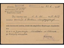 Vordruckkarte "Fr. d. Abl. 21" des Eisenbahn-Verkehrsamt Flensburg mit Briefstempel und L1  Plebiscit Slesvig,  Stempel  Flen