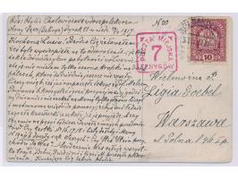 Österreich 10 H. (links unten kleiner Eckfehler) auf Ansichtskarte nach Warschau, Stempel Neu Sandez 30.4.17, roter Zustellge