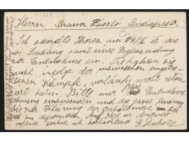 Österreich  20 H. Kaiser Karl  diagonal halbiert  auf Postkarte mit Stempel  Lemberg 2 / Lwow 2  19.12.18 nach Budapest, rote