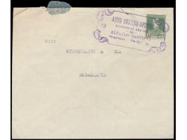 Autopost Rio Gallegos - Magallanes:  10 C. San Martin auf Brief der "Banco Anglo-Sud Americano" in Rio Gallegos nach Magallan