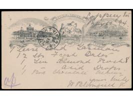 Tasmanien, &nbsp;Sonderganzsache &nbsp;International Exhibition 1894 &nbsp;1 d. mit Nummernstempel 260 und Stempel &nbsp;Copp