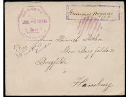 Auslandsbrief mit  Barfrankatur  nach Deutschland, violetter Rahmenstempel und handschriftlich  "Franqueo pagado 10 C.",  vio